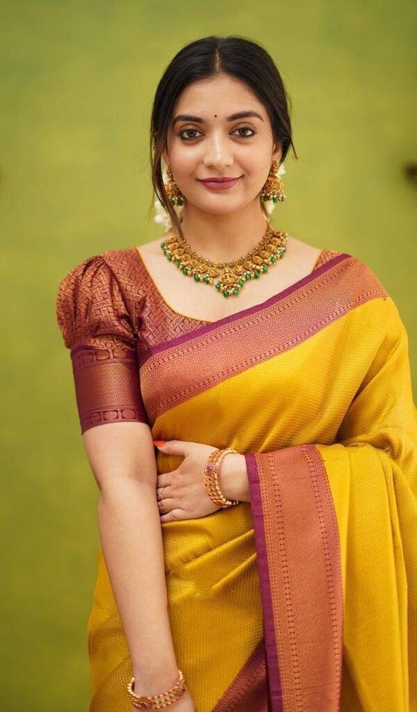 Banarasi Soft Cotton Silk Sarees