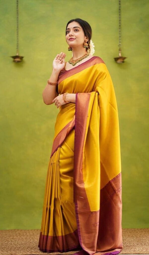Banarasi Soft Cotton Silk Sarees