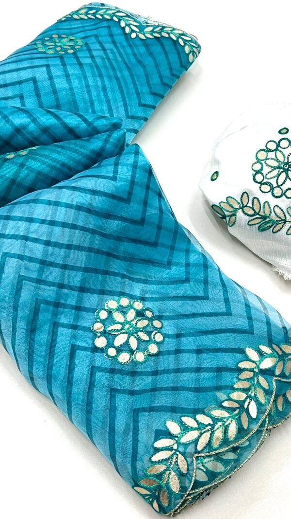 Blouse Back Designs For Organza Saree