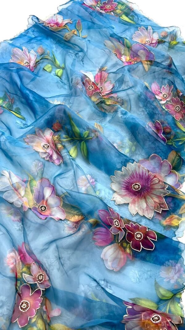 Blouse Pattern For Organza Saree