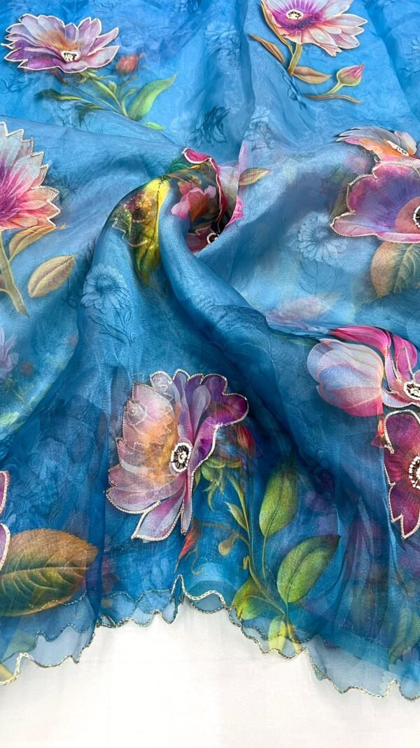 Blouse Pattern For Organza Saree