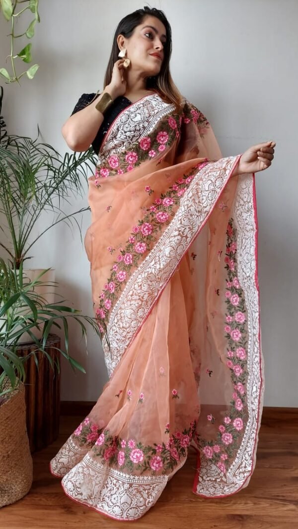 Organza Saree Blouse