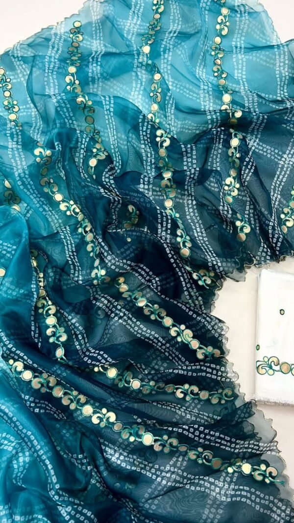 Organza Saree Design