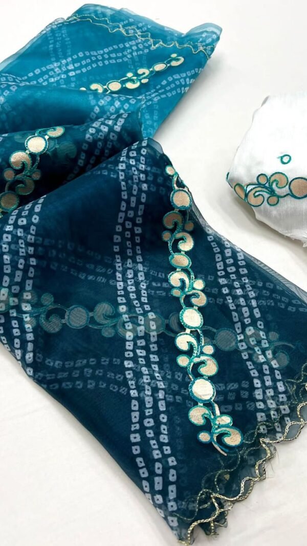 Organza Saree Design