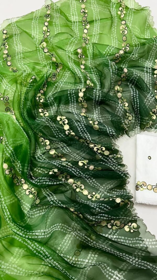 Organza Saree For Farewell