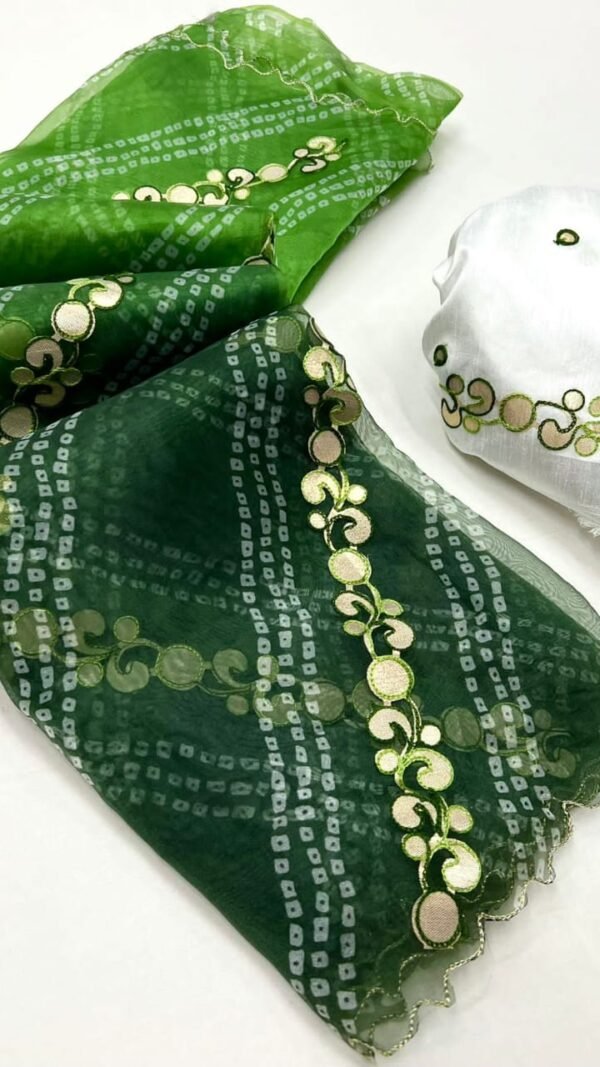 Organza Saree For Farewell