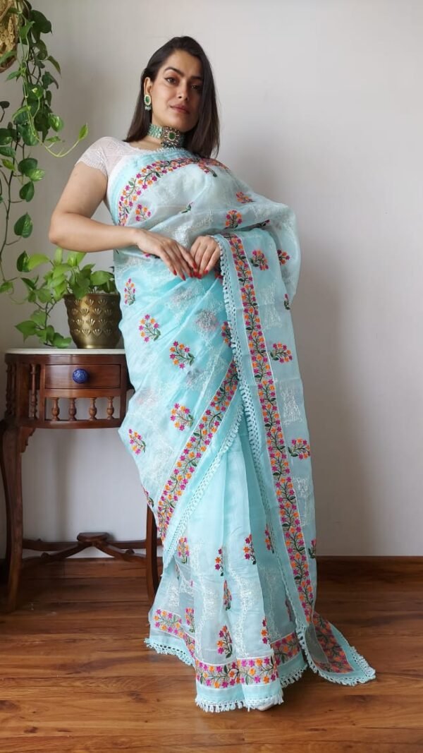 Organza Saree Image