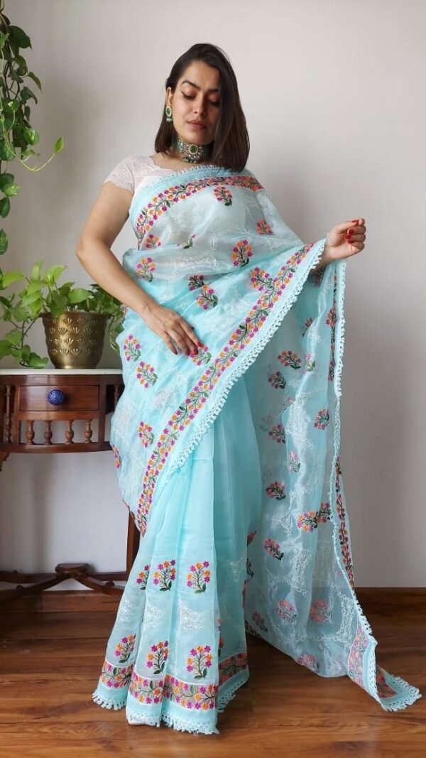 Organza Saree Image
