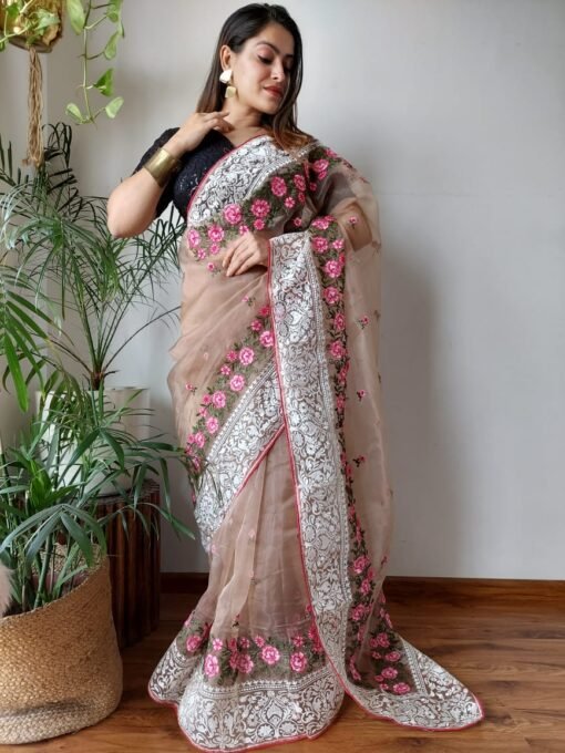 Organza Saree Look