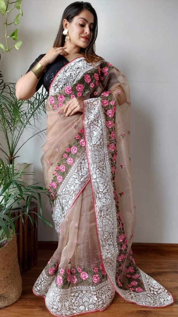 Organza Saree Look