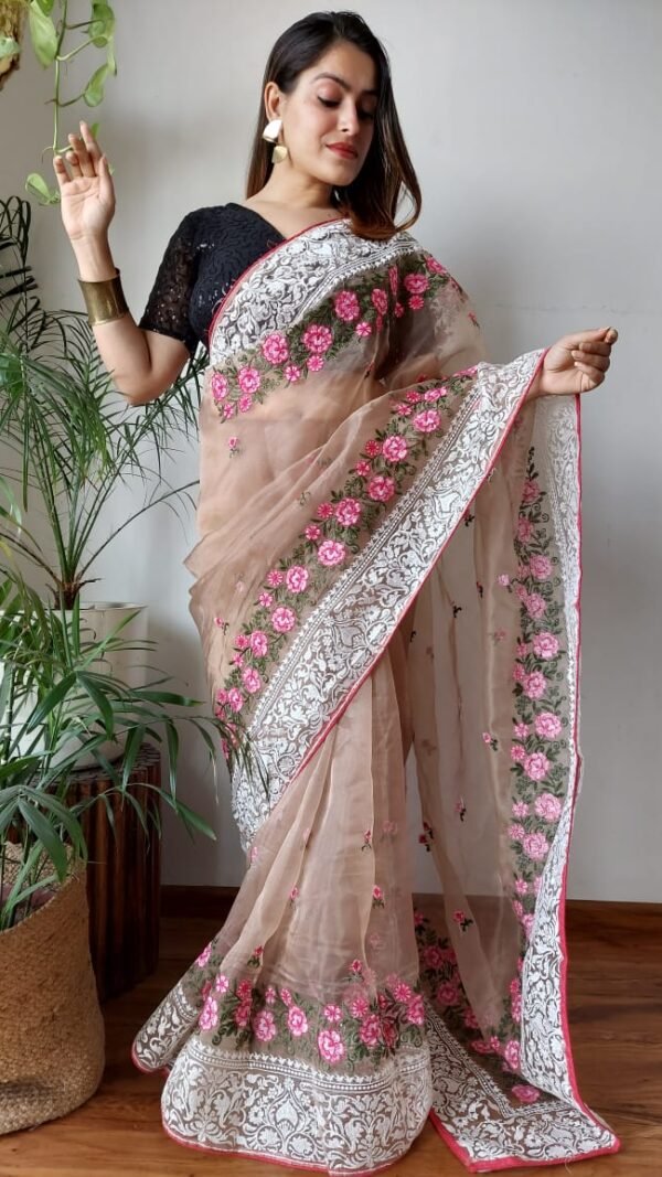 Organza Saree Look