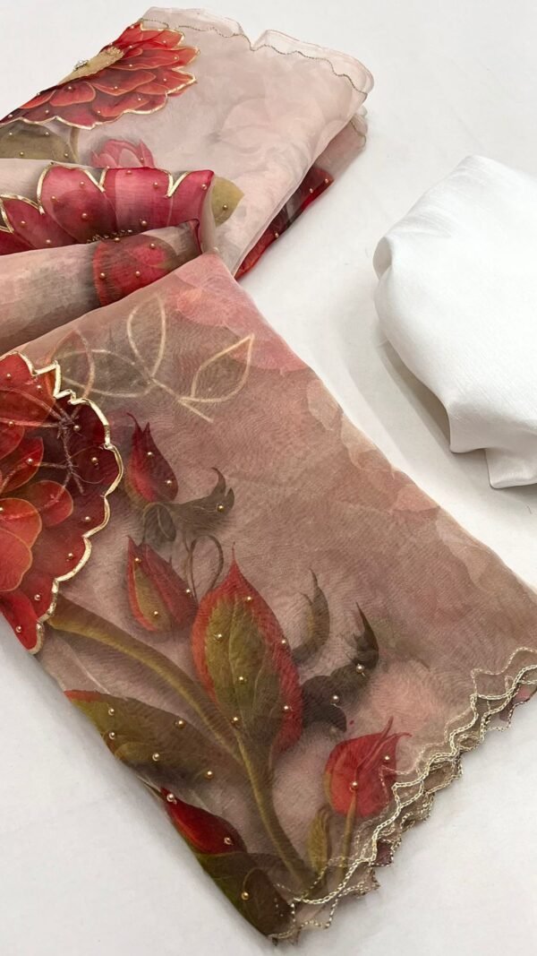 Organza Saree With Full Sleeve Blouse