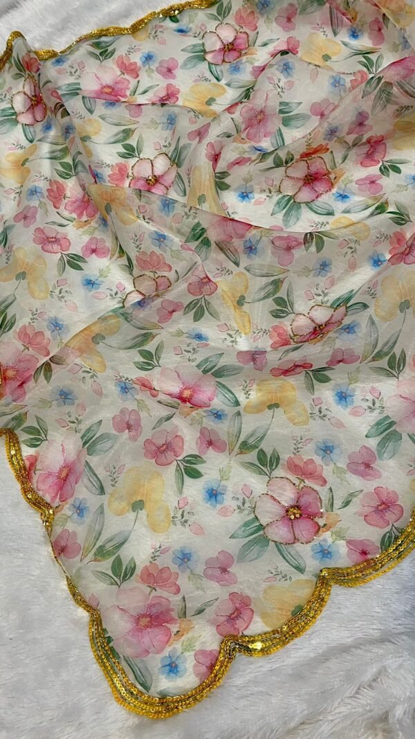 Pure Organza Floral Digital Print Saree with Handwork