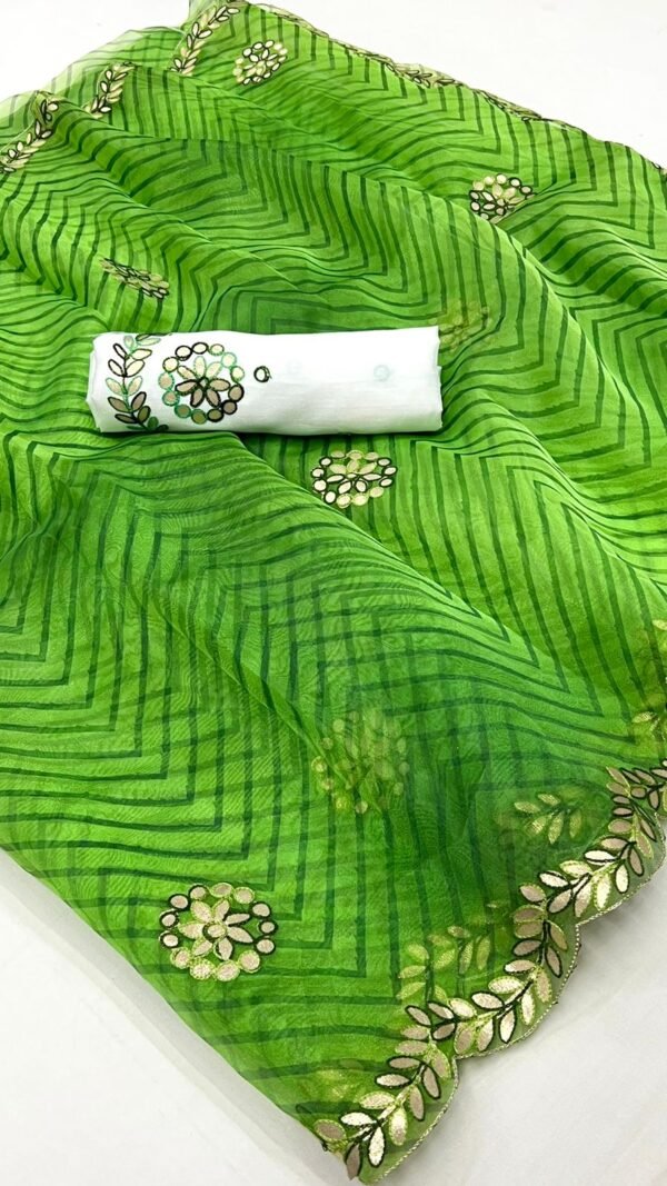 Organza Saree Pinterest