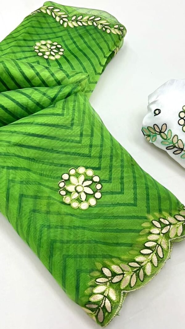 Organza Saree Pinterest