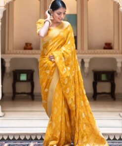 Latest Designer Sarees 2024