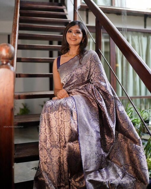 RadiantRaiment Sarees Designer Sarees for Women