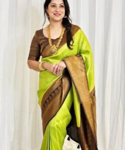 Designer Sarees Shops In Pune Soft Lichi Silk Saree